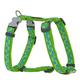 Trilus DH-ST-LG-15 Nylon Hundegeschirr, Sterne, lime grün, S