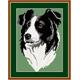 Brigantia Handarbeit Border Collie Gobelinstich Stickset für Wandbild