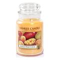 Yankee Candle Glaskerze, groß, Mango Peach Salsa