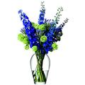 LSA International 35 cm Blume Grand Bouquet Vase, transparent