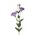 BELLAFIORA 01AMAZ022510 Künstliche Blumen, Lisanthus, 2 Blüten, 80 cm, Purpur