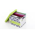 StorePAK Eco Archiv Box mit Deckel - Blau/Grün (10 Stück)