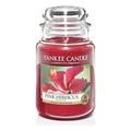 YANKEE CANDLE Duftkerze, Glas, Rot, Large