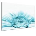 LANA KK - Leinwandbild "Gerbera Blau" mit Blumen auf Echtholz-Keilrahmen – Frühling und Natur Fotoleinwand-Kunstdruck in blau, einteilig & fertig gerahmt in 60x40cm