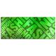 Dsign24 EG312500340 HD Echt-Glas Bild, Fashion Art Wandbild Druck auf Glas, XXL, 125 x 50 cm, grün