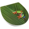 Wenko 21745100 WC-Sitz Hochglanz Acryl Frog - Absenkautomatik, Fix-Clip Hygiene Befestigung, Kunststoff, Mehrfarbig