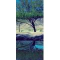 PeelitStickit id-1866 60 Breite x 130 cm Höhe Beautiful Nature hochwertigem Vinyl Wand Wandbild