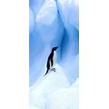 PeelitStickit id-030 60 Breite x 130 cm Höhe Pinguin Hohe Qualität Vinyl Animal Wall Mural