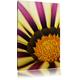 Pixxprint LFs7785_80x60 schöne gestreifte Blüte fertig gerahmt mit Keilrahmen Kunstdruck kein Poster oder Plakat auf Leinwand, 80 x 60 cm