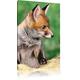Pixxprint LFs7787_60x40 Kleiner Fuchs fertig gerahmt mit Keilrahmen Kunstdruck Kein Poster Oder Plakat auf Leinwand, 60 x 40 cm
