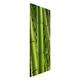 Apalis 108583 Magnettafel Bamboo Trees Memoboard Design Hoch Metall Magnet Pinnwand Motiv Wand Stahl Küche Büro, 78 x 37 cm