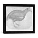 Gerahmtes Bild von Antonio Pisanello Guinea Fowl, Kunstdruck im hochwertigen handgefertigten Bilder-Rahmen, 40x30 cm, Schwarz matt