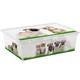 Kis 8416000 2056 01 Aufbewahrungsbox C Box Style Puppy und Kitten, 27 L, Plastik, Mehrfarbig, 55 x 38,5 x 16,5 cm