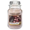 Yankee Candle Glaskerze, groß, Ebony and Oak