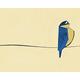 Ellie Foreman-Peck Finch on The Line 40 x 50 cm Leinwand Prints, Mehrfarbig