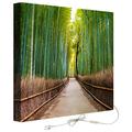 Decoralive Wandbild mit Hintergrundbeleuchtung Bambusweg 75.00x75.00x5.00 cm bunt