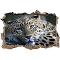 Pixxprint 3D_WD_S1474_62x42 liegender Leopard Wanddurchbruch 3D Wandtattoo, Vinyl, bunt, 62 x 42 x 0,02 cm