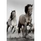 Artis 612557 Horses Spirit Wanddekoration aus Glas mehrfarbig 45 x 65 cm