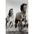 Artis 612554 Horses Spirit Wanddekoration Leinwand mehrfarbig 45 x 65 cm