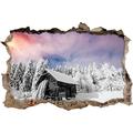Pixxprint 3D_WD_4954_62x42 Einsame gemütliche Holzhütte im Schnee Wanddurchbruch 3D Wandtattoo, Vinyl, schwarz / weiß, 62 x 42 x 0,02 cm