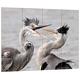Pixxprint Zankende Vögel, MDF-Holzbild im Bretterlook Format: 80x60cm, Wanddekoration