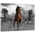 Pixxprint Mustangherde im Sand schwarz/weiß, MDF-Holzbild im Bretterlook Format: 80x60cm, Wanddekoration