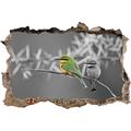 Pixxprint 3D_WD_S4160_92x62 wunderschöne witzige Vögel auf Zweig Wanddurchbruch 3D Wandtattoo, Vinyl, schwarz/weiß, 92 x 62 x 0,02 cm