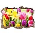 Pixxprint 3D_WD_S2036_62x42 verschiedene farbige Tulpen Wanddurchbruch 3D Wandtattoo, Vinyl, bunt, 62 x 42 x 0,02 cm