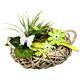 Heitmann Deco - Rattan-Tischdeko mit Holz-Blumen, Schmetterling und Deko-Gras - Tischdeko für Frühling und Ostern