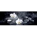 Pro-Art-Bilderpalette gla1338c White Orchid III Glas-Art, bunt, 30 x 80 x 1,3 cm