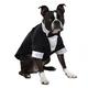 East Side Collection yappily Ever After Groom Tux, 2 x -small