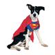 Rubie's 887892M Offizielles Superman Hundekostüm, Blau/Rot, Größe M