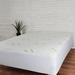 Alwyn Home Mattress Pad Polyester/Rayon from Bamboo | 76 H x 39 W x 1 D in | Wayfair ANEW2334 39954020