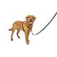 PetSafe 3-in-1-Geschirr und Rückhaltegurt für Hunde, Mit Anti-Zieh-Ring und Rückhaltegurt fürs Auto, Größe L, Schwarz