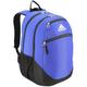 adidas Striker 2 Team Backpack, Team Royal Blue/Black/White, One Size, Striker 2 Team Backpack