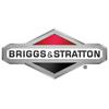 Briggs & Stratton OEM 697812 Screw