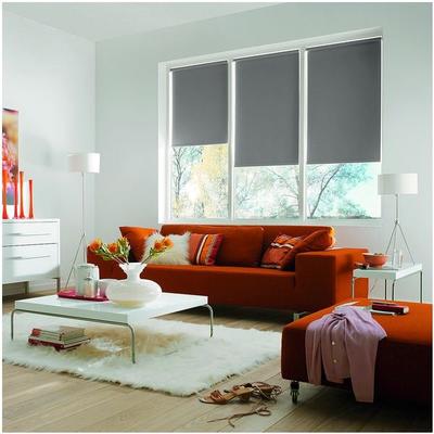 Büscher Sunlines Seitenzug-Rollo mit Verdunkelung - 1020x2400 mm grau, 102x240 cm