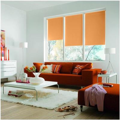 Büscher Sunlines Seitenzug-Rollo mit Lichtschutz orange, 122x180 cm