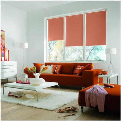 Büscher Sunlines Seitenzug-Rollo mit Verdunkelung - 1020x2400 mm braun, 102x240 cm