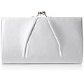 Swanky Swans Mira Satin Classic Frame Bag, Damen Clutch, Silver, 5.1x12x20.8 cm (W x H L)