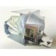 Original Lamp & Housing for the BenQ MX666 Projector - 240 Day Warranty