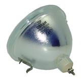 Philips UHP Series 50ML8105D/17 Bulb Bulb Only for Philips Projectors