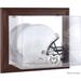 Colorado State Rams Brown Framed Wall-Mountable Helmet Display Case