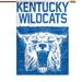 WinCraft Kentucky Wildcats 28" x 40" College Vault Single-Sided House Banner