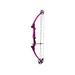 Genesis Original Bow RH Purple 10478