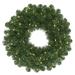 Vickerman 420201 - 36" Oregon Fir Wreath DL 100LED WmWht (C164637LED) 36 42 Inch Christmas Wreath