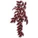 Vickerman 459140 - 38" Begonia Hanging Bush X 6 W/63 Lv-Red (FB171301) Home Office Picks and Sprays