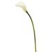 Vickerman 463055 - 26'' Calla Lily-White (PK/6) (FD170201) Home Office Flowers with Stems