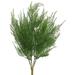 Vickerman 460726 - 19.5" Green Asparagus Bush X 7 (FK170001) Home Office Picks and Sprays