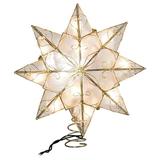 Kurt S. Adler 12827 - 10 Light 9" Gold Capiz Star Christmas Tree Topper